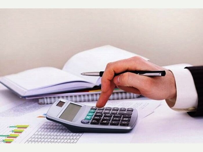 آلومینا و پتروشیمی ۶۰ درصد مالیات خراسان شمالی را پرداخت می‌کنند
