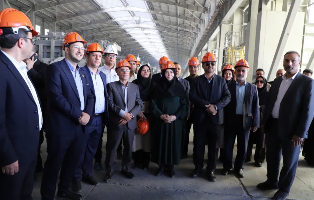 بازدید رئیس سازمان حفاظت محیط زیست از کارخانه آلومینیوم جنوب