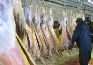 گوشت قربانی حجاج ایرانی به کدام کشورها اهدا می‌شود