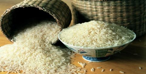 نایب رییس کمیسیون کشاورزی مجلس: برنج ژست طلا به خود گرفته است