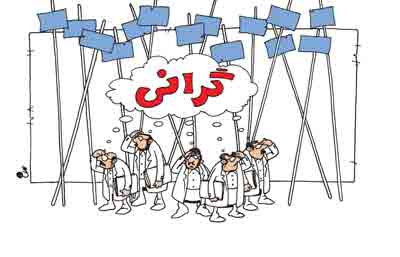 رئیس سازمان حمایت مقصران گرانی را معرفی کرد 