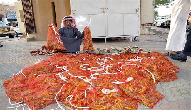 "ملخ" غذای لوکس سعودی ها 