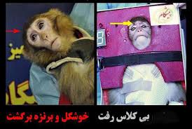 رفع ابهام ازتصاویر متفاوت رسانه‌ها